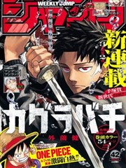韩国漫画 恶女